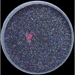 Glitter fin pentru make-up 3gr Sclipici Amelie Pro G088 Grey cu Reflexii